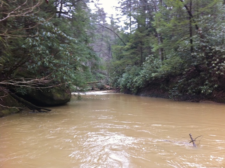 Swift Camp Creek Trail - 5.jpg